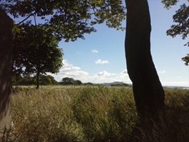 11062706_10154122837704517_7428223558496551676_n