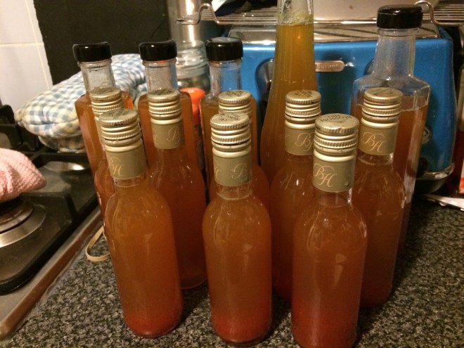 Rosehip Syrup 